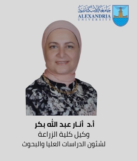 WhatsApp Image 2026 04 01 at 12.13.18