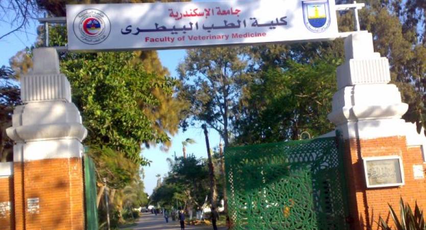 Dr. Mahmoud El Maghraby appointed as Dean of the Faculty of Veterinary