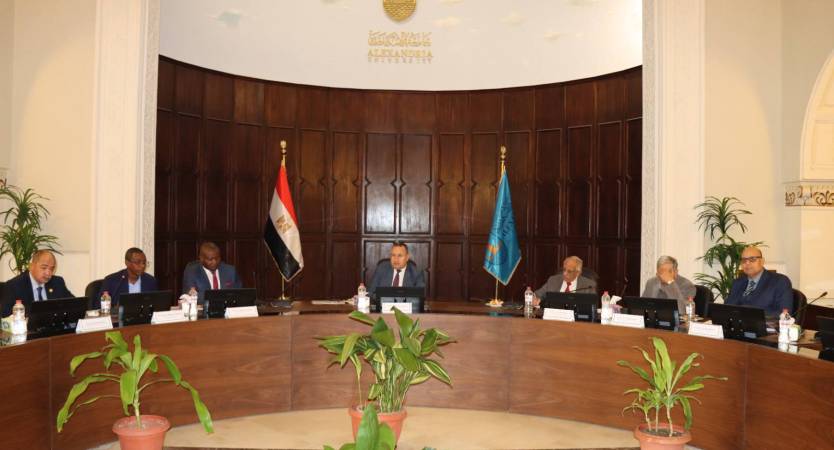 Supreme Council of Alexandria University’s Branch in Chad Discusses Introducing New Majors and Dual Programs in the branch in English and French Languages in Cooperation with International Universities